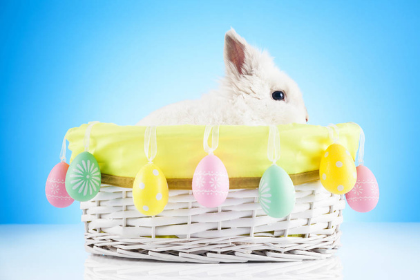 Cute Easter Bunny sitting in wicker basket with Easter eggs - Zdjęcie, obraz