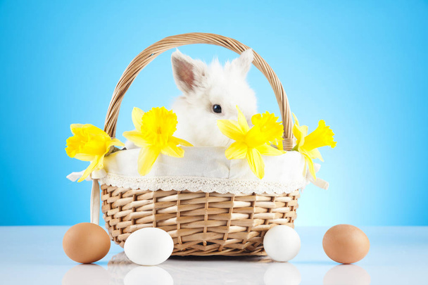 Cute Easter Bunny sitting in wicker basket with Easter eggs - Foto, Imagem