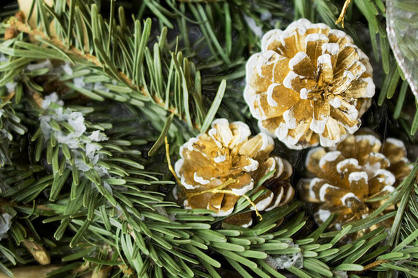Besneeuwde spar boom met spar-cone. Traditionele Nieuwjaar en kerst motief voor de wenskaart. Artistieke retoucheren. - Foto, afbeelding
