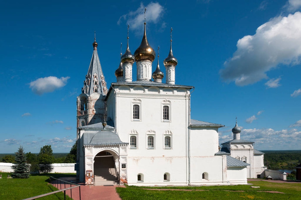 Holy Trinity Monastery of St. Nicholas on Puzhalova mountain in Gorokhovets in summer, Gorokhovets, Russia - Foto, afbeelding