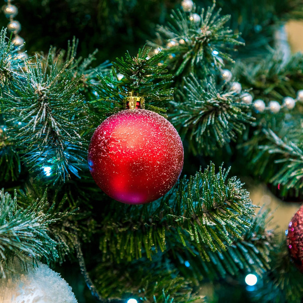 Christmas decorations on the branches of fir tree - 写真・画像