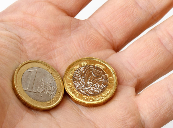 euro e monete in sterline in palmo di mano
 - Foto, immagini