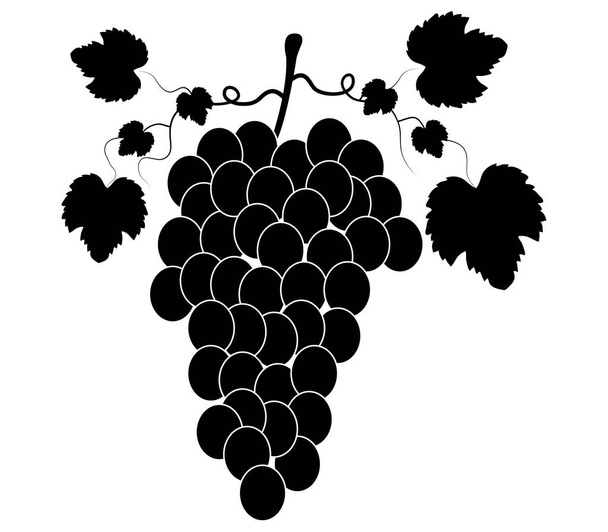winogron ikona na białym tle - Wektor, obraz