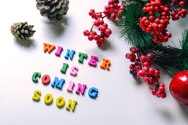 Winter is coming soon. Phrase lined with colorful wooden letters on white background with pine cones, pine branch and berries of mountain ash. flat style. - Foto, imagen