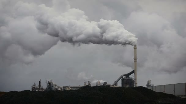 Atmosferik hava kirliliği endüstriyel duman şimdi. Boru çelik fabrikası. Kalın duman ve Buhar Mdf üretim. - Video, Çekim