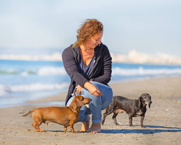 Hunde und Frau am Strand - Foto, Bild