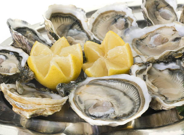 oysters on silver tray - Фото, зображення