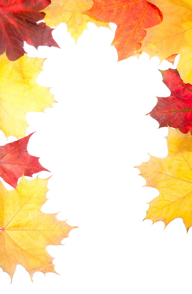 Grupo otoño hojas decoracion
 - Foto, Imagen