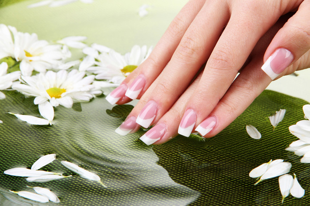 Woman hands with french manicure and flowers in green bowl with water - Photo, Image