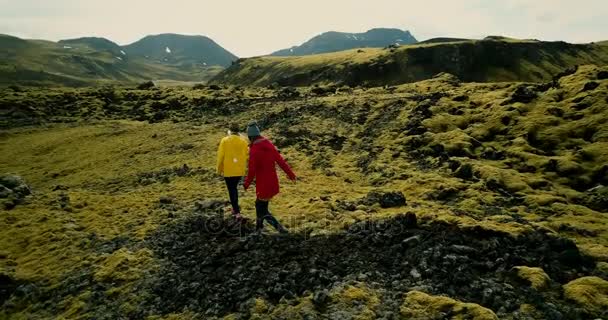 Vista aérea de dos hembras caminando en el campo de lava cubierto de musgo en Islandia, explorando el prado. Turistas caminando juntos
. - Metraje, vídeo