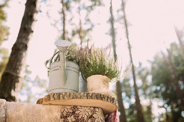 Watering can and flowerpot on wooden stand - Foto, imagen