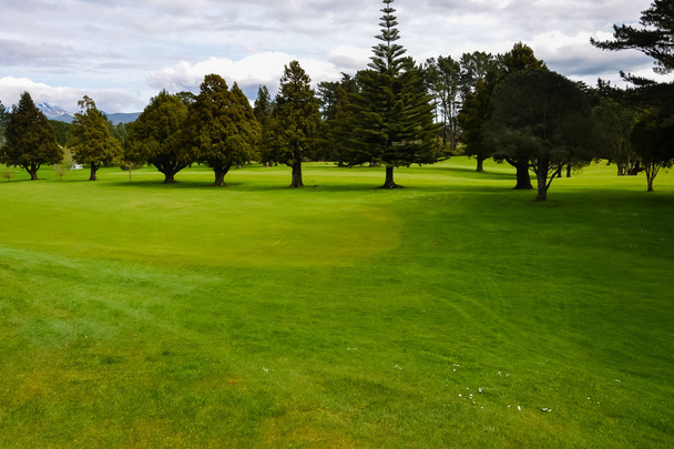 Vihreä golfkentällä Uudessa-Seelannissa
 - Valokuva, kuva