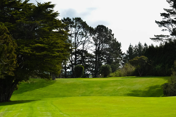Groen van de golfbaan van Nieuw-Zeeland - Foto, afbeelding