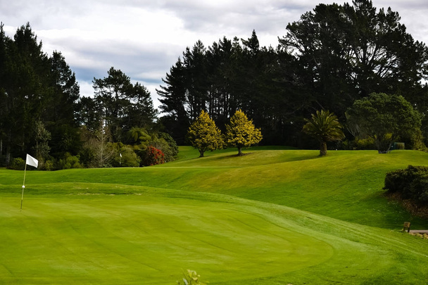 Terrain de golf Nouvelle-Zélande Greens
 - Photo, image
