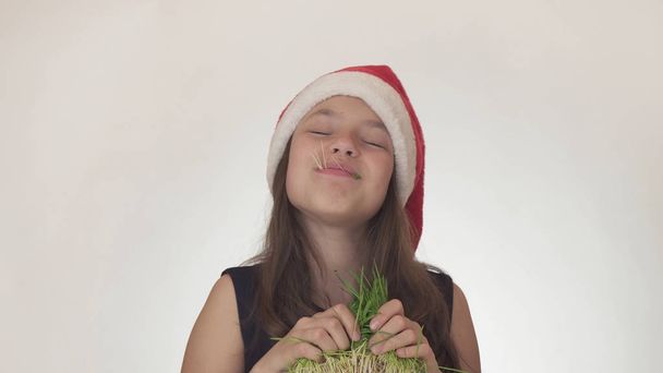 Красивая непослушная девочка-подросток в шляпе Санта-Клауса с аппетитом ест ростки овса на белом фоне
 - Фото, изображение