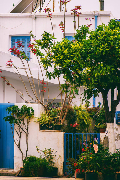 Picturesque Greek courtyards - Photo, Image
