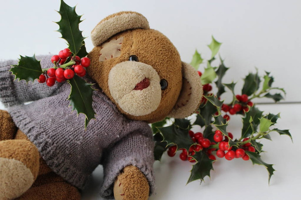 Teddy Bear wearing a grey knitted sweater with holly leaves and berries.Creative for colourful greeting card with copy space. Merry Christmas - Photo, Image