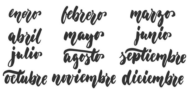 Los meses - months in spanish, hand drawn latin lettering quote isolated on the white background. Fun brush ink inscription for greeting card or poster design. - Vecteur, image