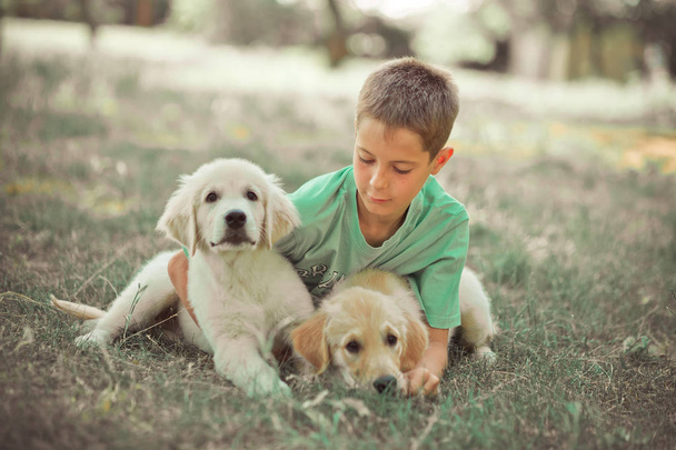 レトリーバーの子犬を素敵なシーン ホットビュー十代の少年最高友人犬アイボリー白のラブラドール子犬と夏季休暇を楽しんでします。夢の世界で幸せな取り澄まし不注意な幼年期の生活 - 写真・画像