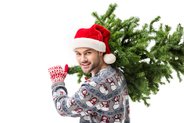 Άνδρας που κουβαλάει χριστουγεννιάτικο δέντρο - Φωτογραφία, εικόνα