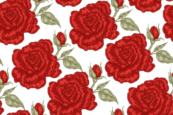 Patrón sin costuras con flores de rosa roja sobre fondo blanco. Ilustración vectorial para telas, envases de regalo, textiles y diseño de tarjetas
 - Vector, imagen