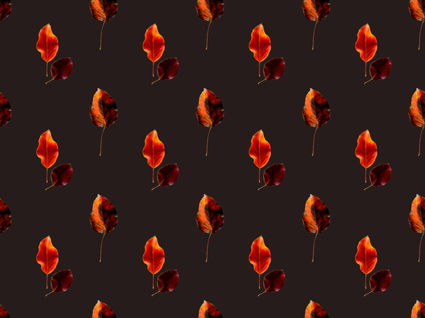 oranžové a červené spadané listí - Fotografie, Obrázek
