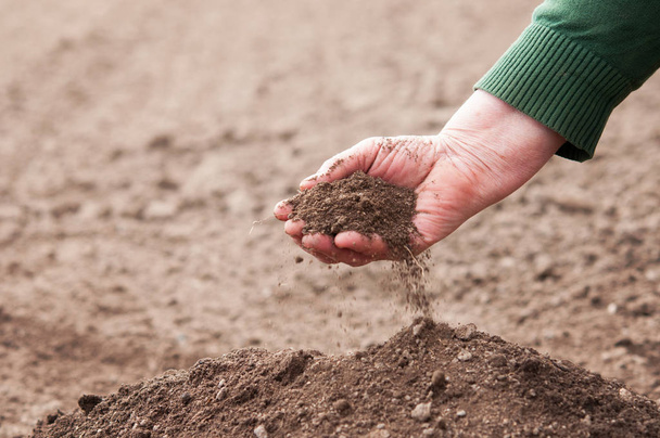 Save the soil - 写真・画像