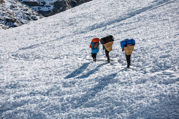 Porteurs traversant le col de Cho La dans la région de l'Everest, Népal
 - Photo, image
