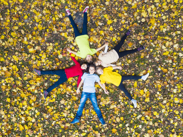 Дети, лежащие на листьях
 - Фото, изображение
