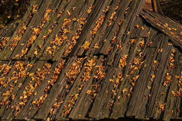 Un viejo techo de madera cubierto de hojas amarillas
 - Foto, Imagen