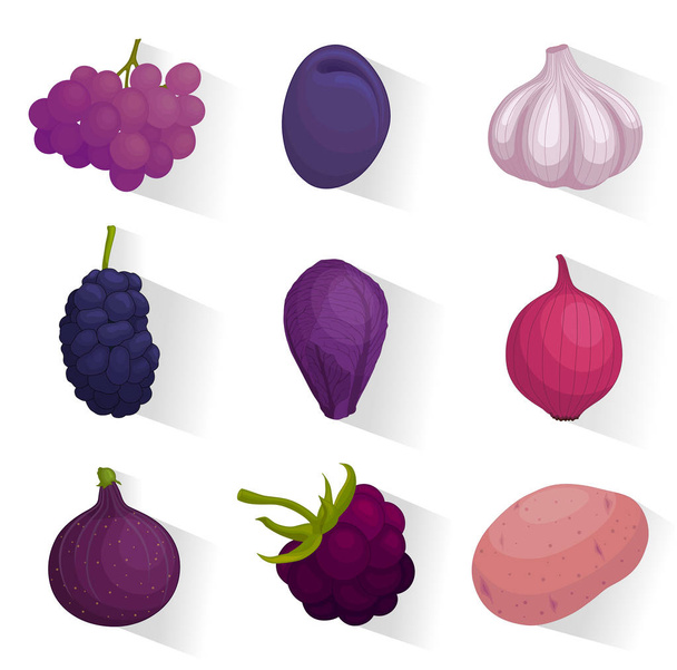Set of web icons of purple fruits and vegetables. Vector illustration. Collection of elements for web design. - Vettoriali, immagini