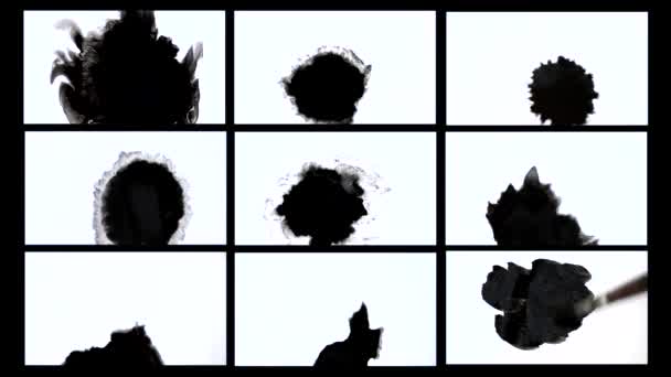 Zwarte inkt vlek verspreidt zwarte inkt vlek spreads - Video