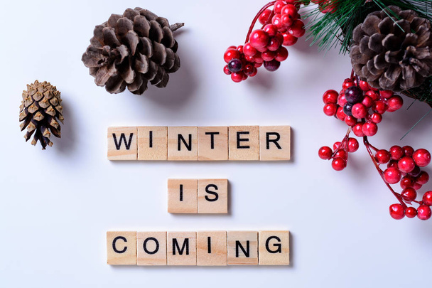 Der Winter naht. Worte aus Buchstaben auf weißem Hintergrund mit Tannenzapfen, Tannenzapfen und Beeren der Eberesche - Foto, Bild