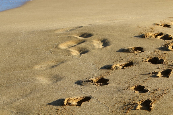 ίχνη στην άμμο  - Φωτογραφία, εικόνα