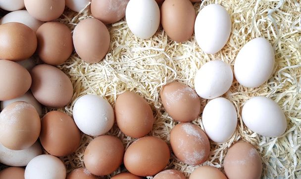 Closeup of fresh organic various eggs - Photo, Image