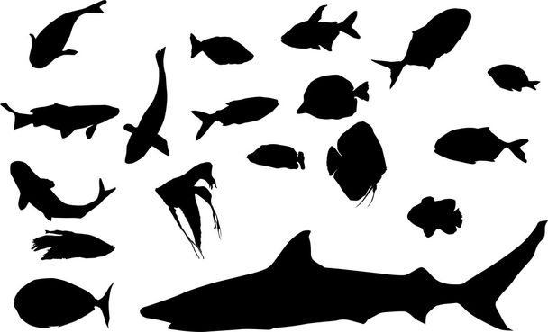 Различные силуэты рыб
 - Вектор,изображение