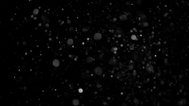 Zpomalený pohyb sněhu na černém pozadí, - Záběry, video