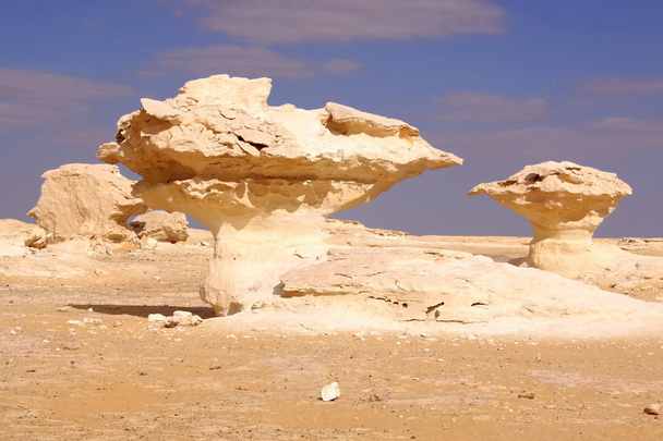 Fehér sivatag szobor - Fotó, kép
