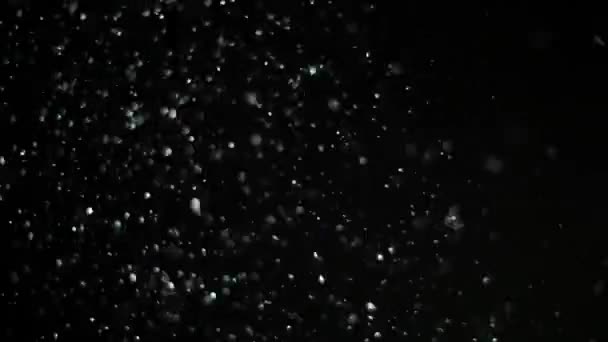 Slow Motion sneeuw op zwarte achtergrond, - Video