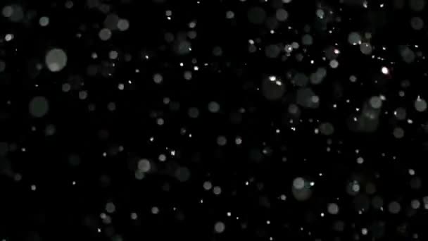 Zwolnionym tempie śniegu na czarnym tle, - Materiał filmowy, wideo