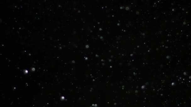 Nieve en cámara lenta sobre fondo negro
, - Metraje, vídeo