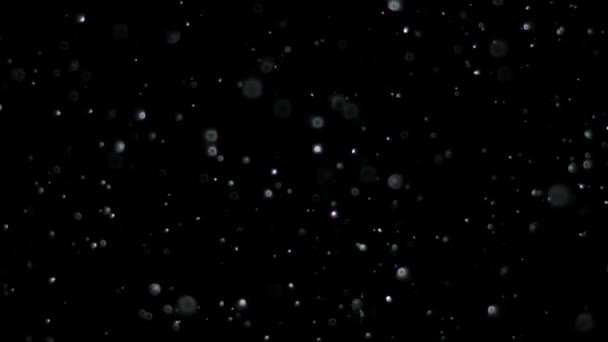 Schnee in Zeitlupe auf schwarzem Hintergrund, - Filmmaterial, Video