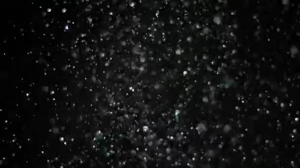 Zpomalený pohyb sněhu na černém pozadí, - Záběry, video