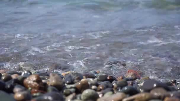 Ciottoli marini e onde oceaniche sulla spiaggia
 - Filmati, video