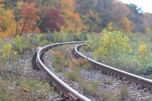 Chemin de fer ou tramway dans un beau brouillard de parc d'automne. humidité, couleurs d'automne chaudes et lumineuses
 - Photo, image