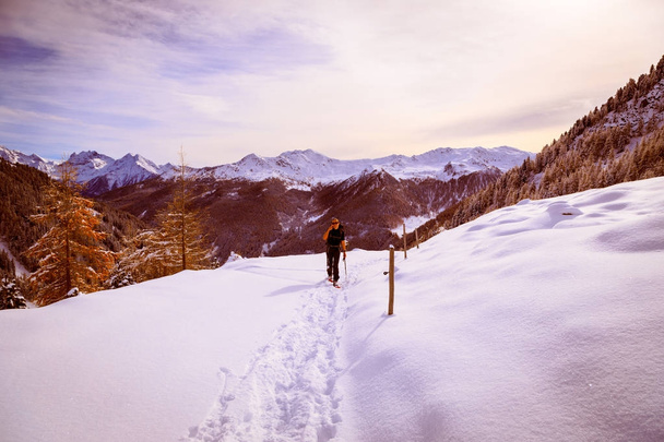 Kız ormanda kar ayakkabıları ile doğa yürüyüşü - Fotoğraf, Görsel
