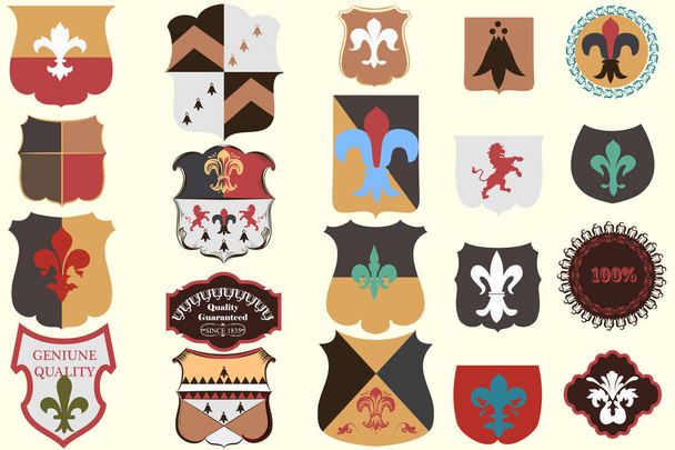 Collection of vector heraldic elements in vintage style - Vektor, kép