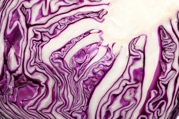 Red Cabbage on White Background - Photo, Image