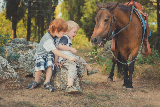 Handsome Young boy with red hair and blue eyes playing with his friend horse pony in forest.Huge love between kid shild and animal pet farm - Foto, Bild