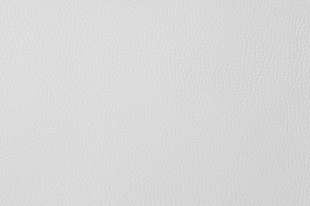 White leather texture - Foto, immagini